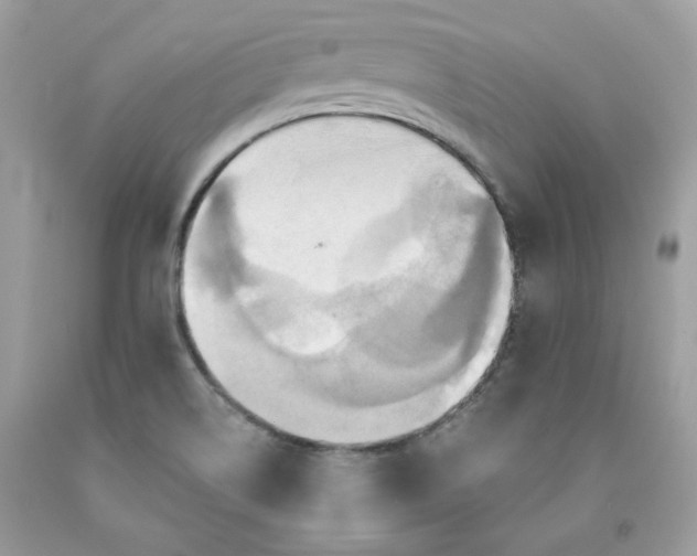 X0000091581514200709051049