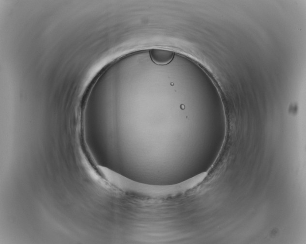 X0000091581515200709051049