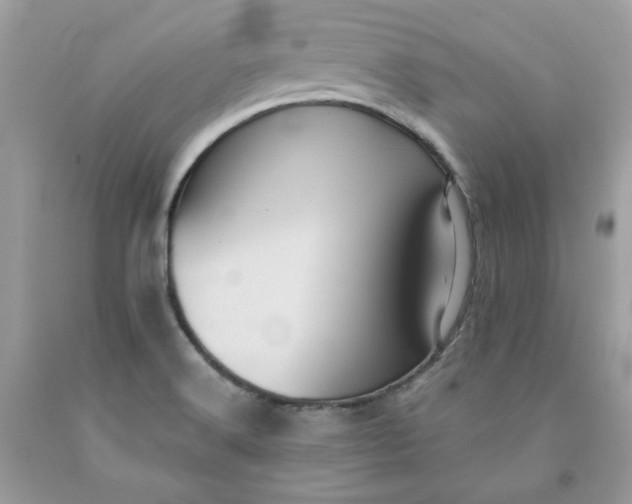 X0000091581516200709051049
