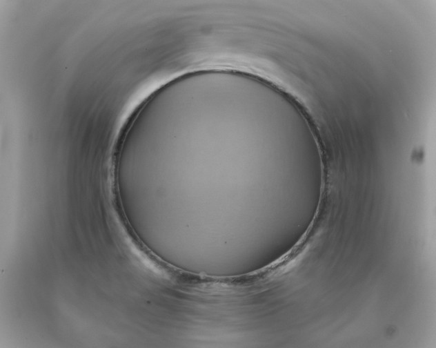 X0000091581517200709051049