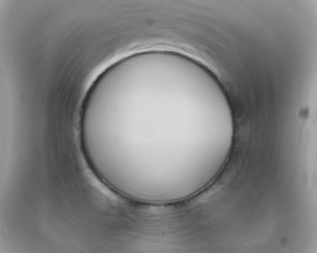 X0000091581518200709051049