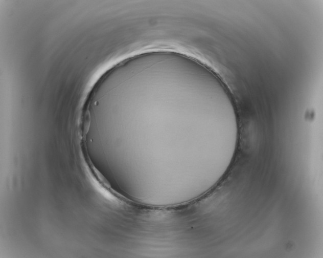 X0000091581519200709051049