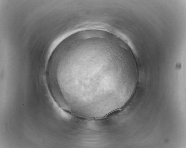X0000091581520200709051049