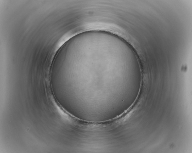 X0000091581521200709051049