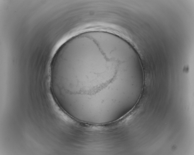 X0000091581522200709051049