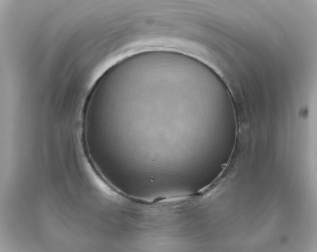 X0000091581523200709051049