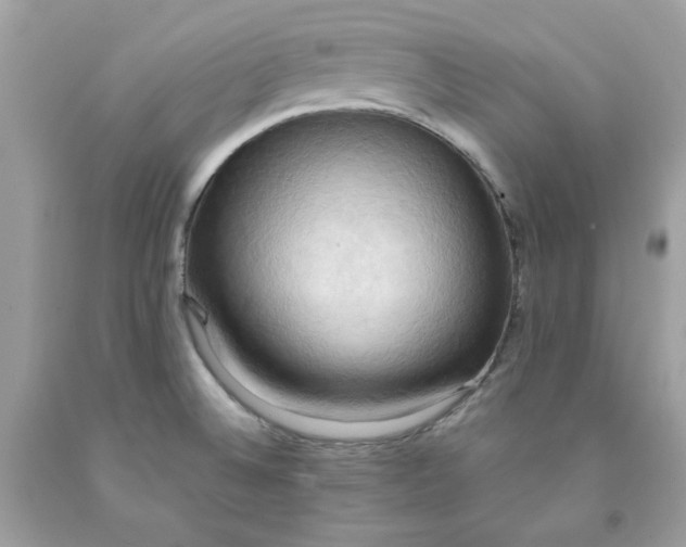 X0000091581524200709051049