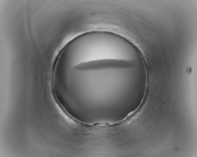 X0000091581525200709051049