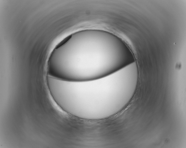 X0000091581528200709051049