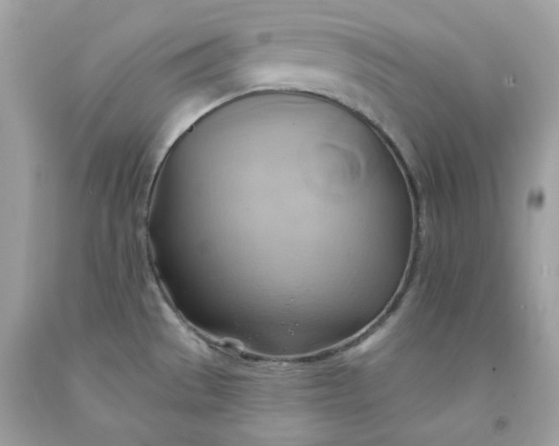 X0000091581529200709051049