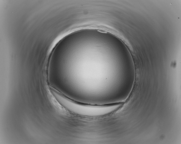 X0000091581530200709051049