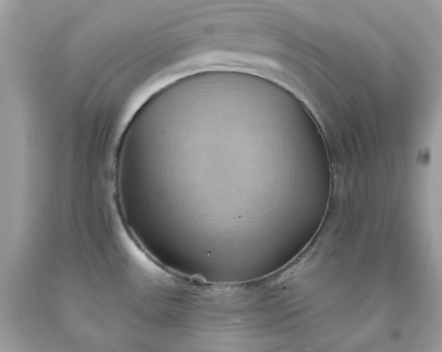 X0000091581531200709051049