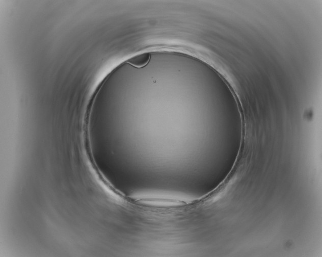 X0000091581533200709051049