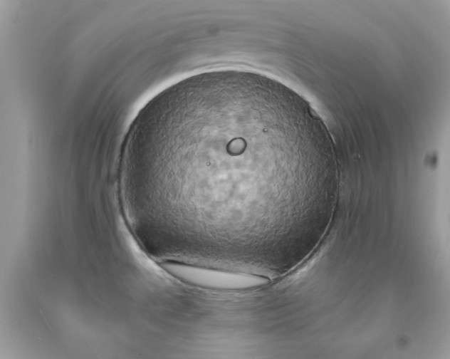X0000091581534200709051049