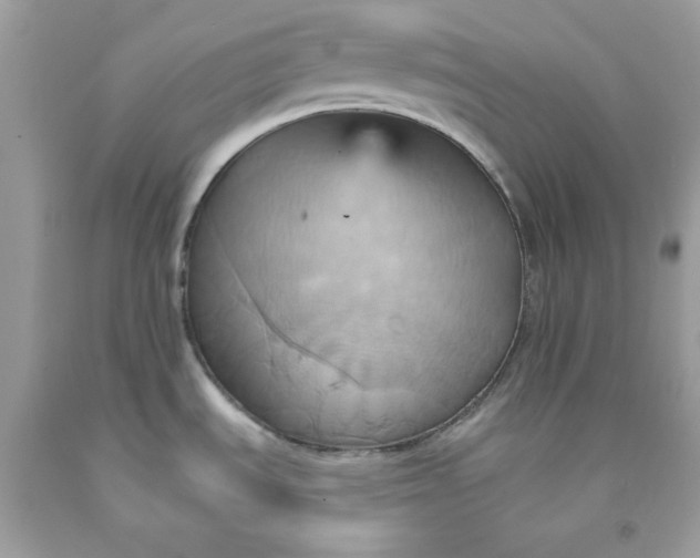 X0000091581535200709051049
