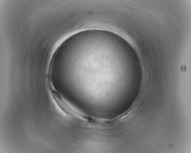 X0000091581536200709051049