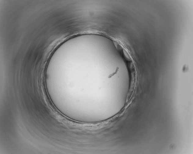 X0000091580001200709101029