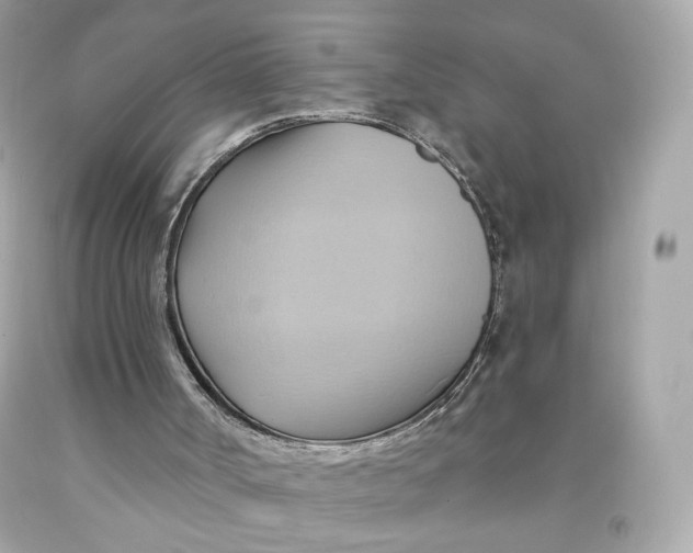 X0000091580002200709101029