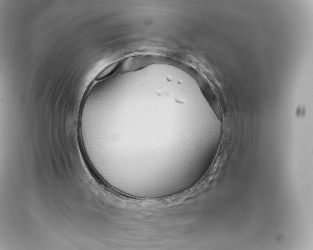 X0000091580003200709101029