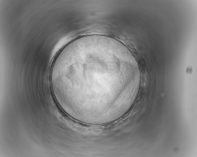 X0000091580004200709101029