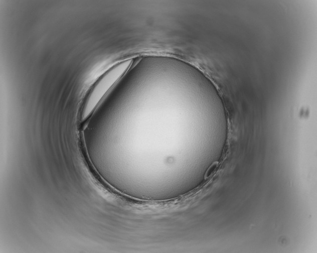 X0000091580005200709101029