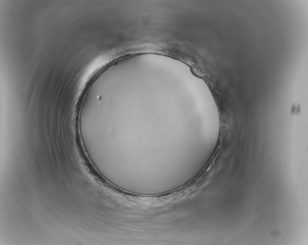 X0000091580006200709101029