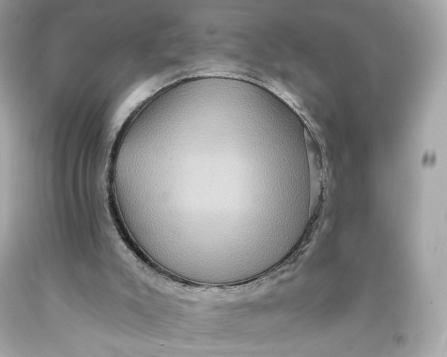 X0000091580007200709101029