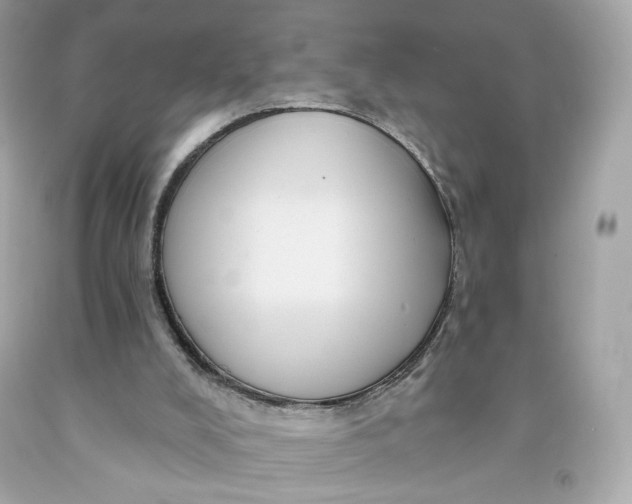 X0000091580008200709101029