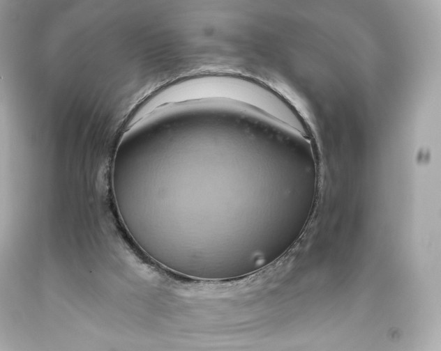 X0000091580009200709101029