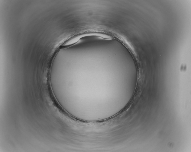 X0000091580010200709101029