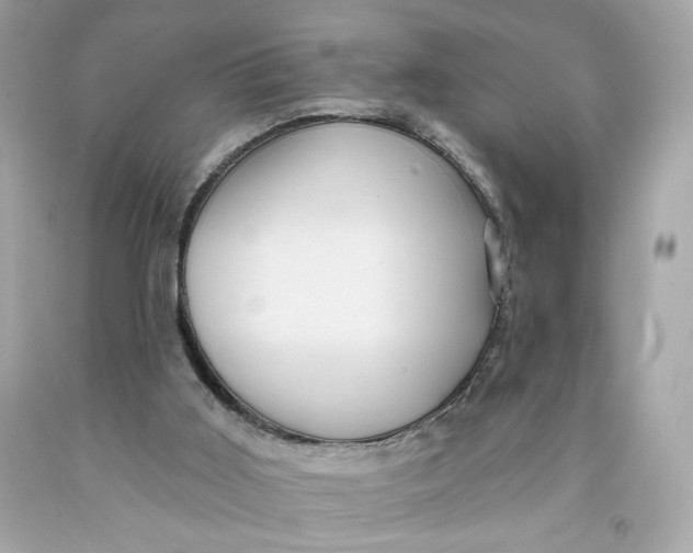 X0000091580011200709101029