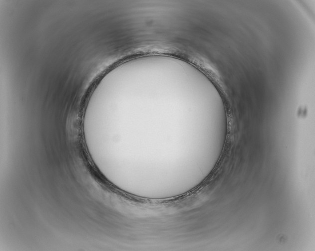 X0000091580012200709101029