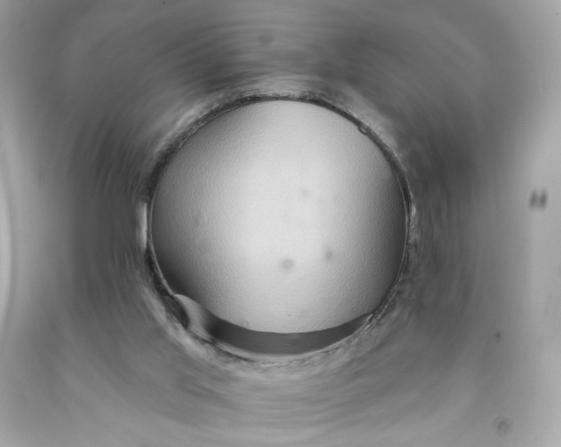 X0000091580013200709101029