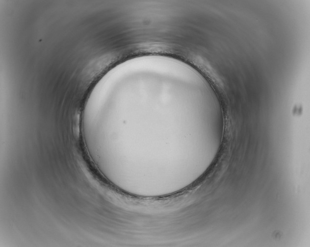 X0000091580014200709101029