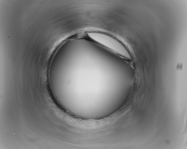 X0000091580015200709101029