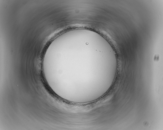 X0000091580016200709101029