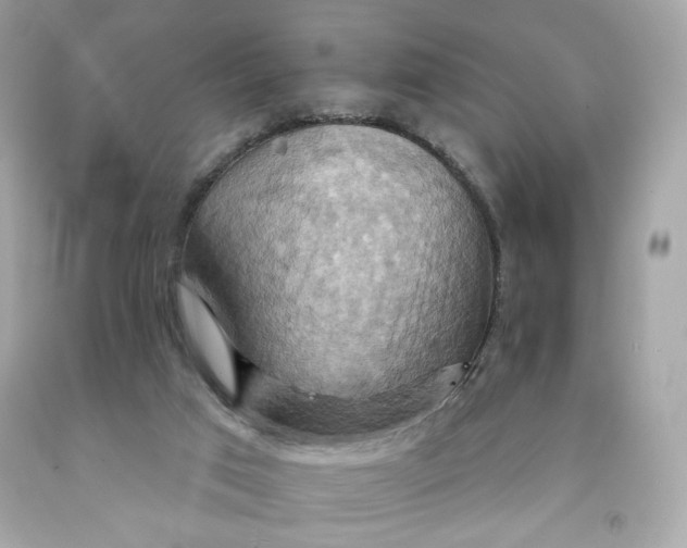 X0000091580017200709101029