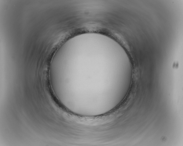 X0000091580018200709101029