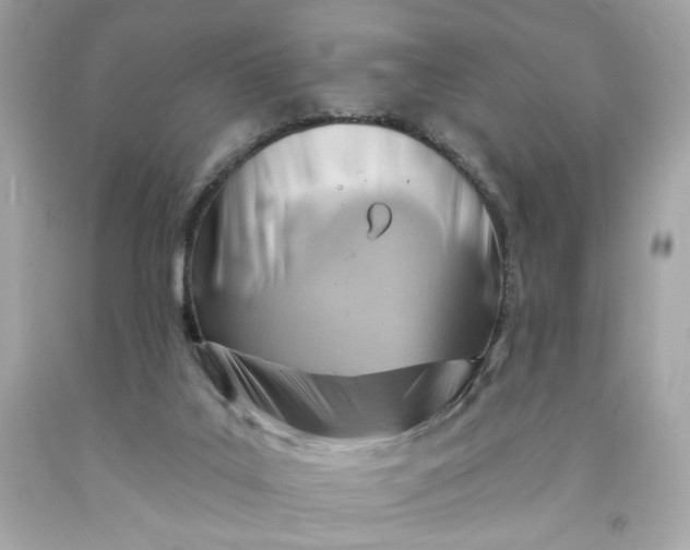 X0000091580019200709101029