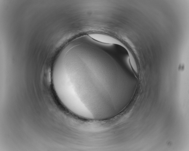 X0000091580020200709101029