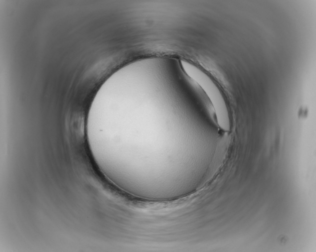 X0000091580021200709101029