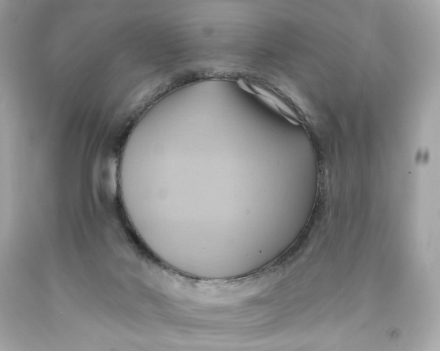 X0000091580022200709101029