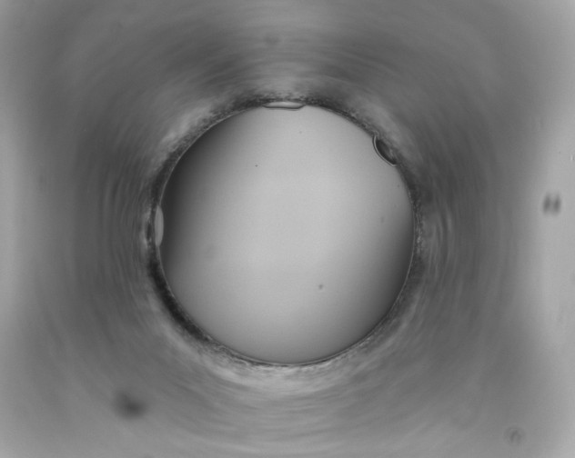 X0000091580023200709101029