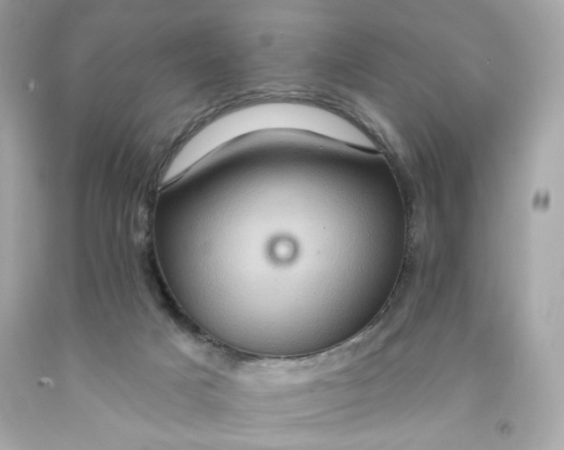 X0000091580025200709101029