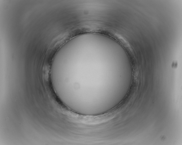 X0000091580026200709101029