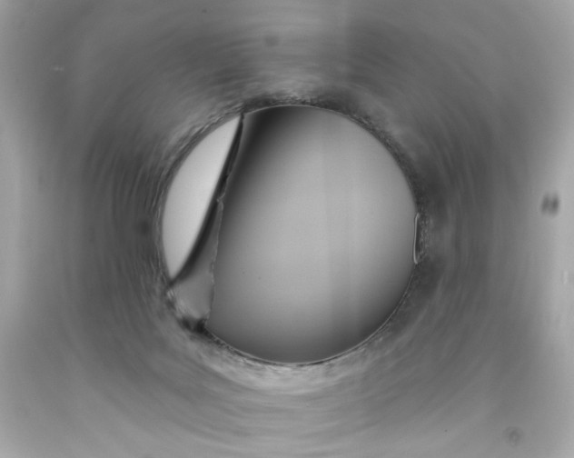 X0000091580027200709101029