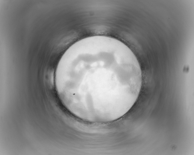 X0000091580028200709101029