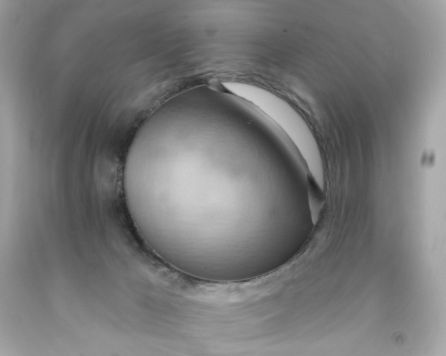 X0000091580029200709101029