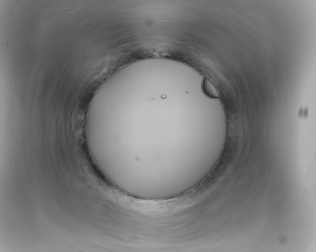 X0000091580030200709101029