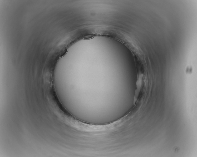 X0000091580031200709101029